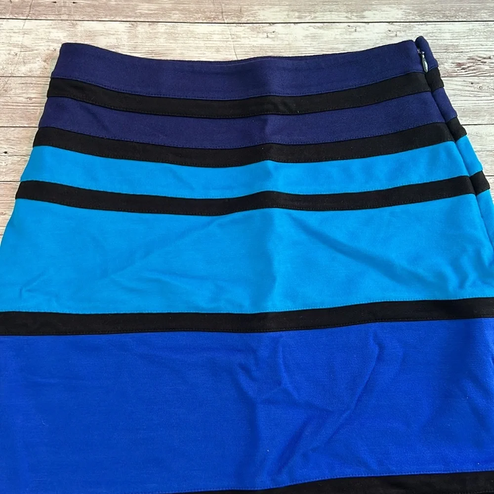 Express Multicolor Blue Striped High Waisted Knit Mini Pencil Skirt - Picture 2 of 8